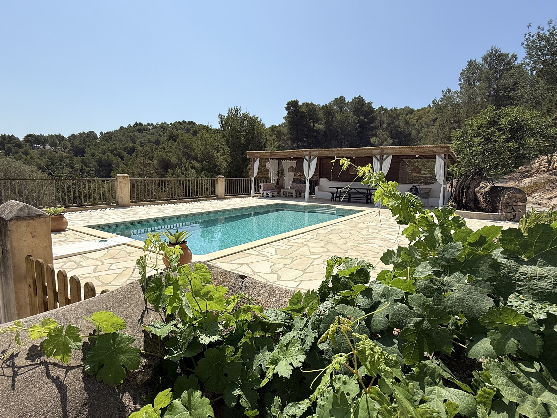 Resa Estates Ibiza koop  finca sale san augustin pool and garden.jpeg